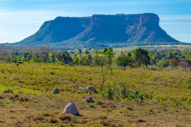 istock Tourism in Chapada das Mesas 2188746986