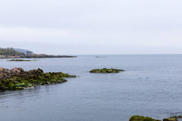 Scenic view of coastal landscapes in summer