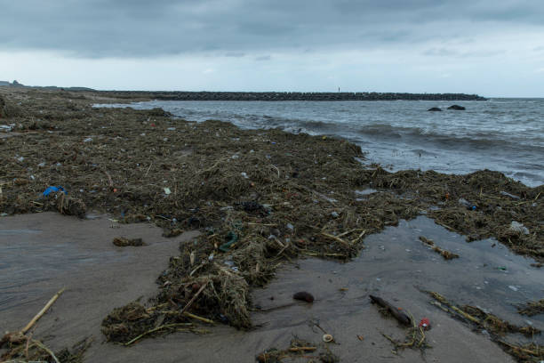 istock ocean garbage on Taiwan's north coast 2188751026