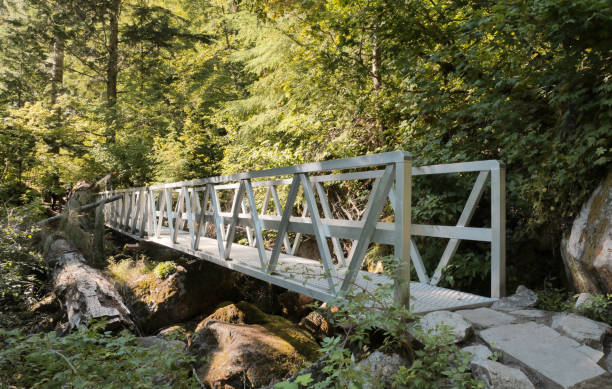 istock Lindeman Greendrop Trail in Chilliwack, British Columbia 2188752206