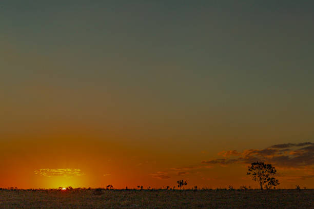 Sunset in the Cerrado, typical vegetation of Chapada dos Veadeiros, in the state of Goiás