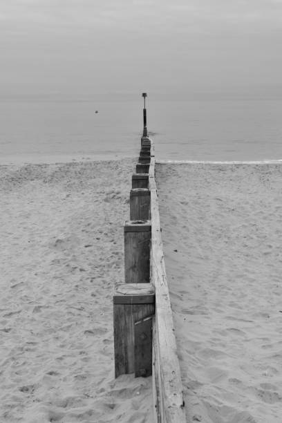 Wooden groyne heading into a calm sea in Dorset