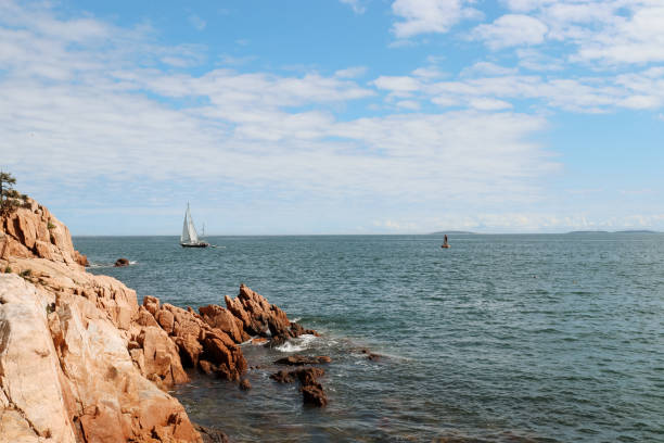 istock Coast of Acadia 2188759626