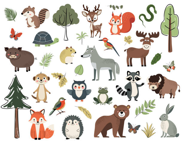 Set of cute forest elements - animals and trees. Woodland animals. Deer, fox, owl, boar, hedgehog, rabbit. Set of cute forest elements - animals and trees. Woodland animals. Deer, fox, owl, boar, hedgehog, rabbit. woodland stock illustrations