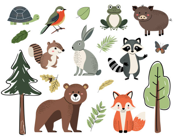 Set of cute forest animals. Woodland animals and trees. Bear, fox, frog, boar, raccoon, turtle, chipmunk, rabbit. Set of cute forest animals. Woodland animals and trees. Bear, fox, frog, boar, raccoon, turtle, chipmunk, rabbit. wood turtle stock illustrations