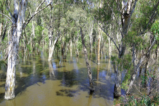 A normally small river has flowed far beyond its banks after record breaking rainfall causing flash floods in the area.