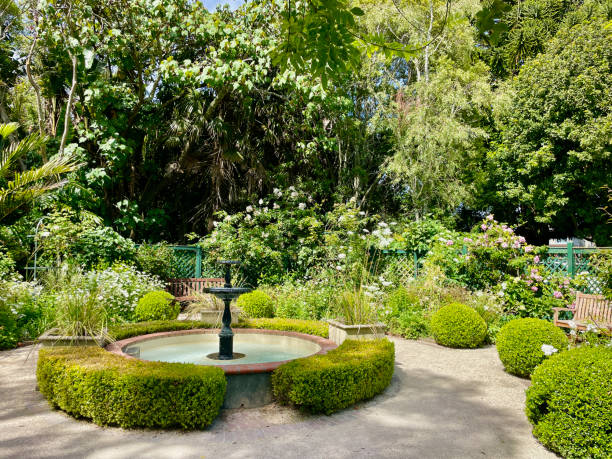 Peaceful garden with a scenic fountain surrounded by lush greenery
