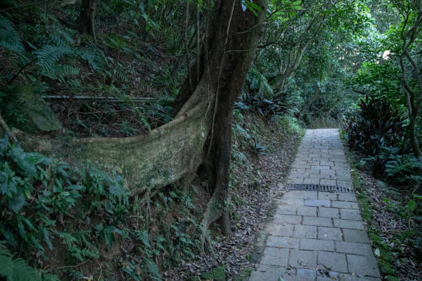 Xiangshan mountain in Taipei Taiwan