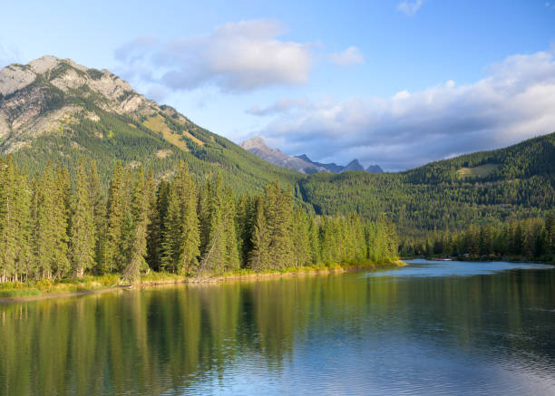 istock Bow River in Banff National Park 2188777183