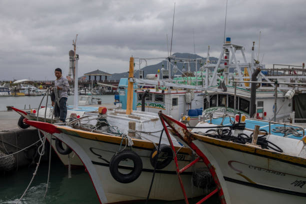 On OCT 10th, in Tamsui harbor, New Taipei city, foreign workers working on fishing boats. There are a large number of workers in Taiwan's fishery industry from South Asian countries such as the Philippines and Vietnam. They choose to come here to work because of the higher salaries in Taiwan.