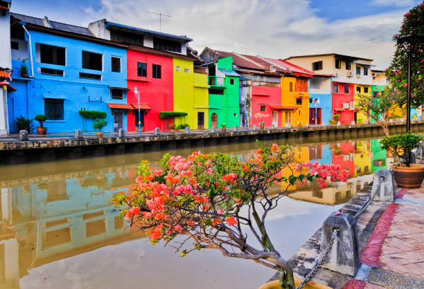 istock My Melaka River Flowers plant 2188779710
