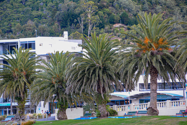 istock Foreshore Picton Park 2188784449
