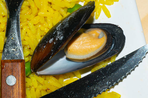Food Rice with shellfish and parsley