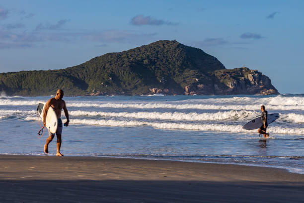 Imbituba, Brazil - circa April, 2022: Surfers leave the sea at dusk at Praia do Rosa, a tourist attraction in the city of Imbituba, in the state of Santa Catarina