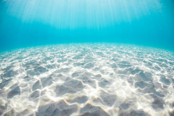 Beautiful underwater scene with sunlight streaming down to illuminate the rippled sand on the ocean floor. Captures the tranquility and clarity of the sea environment.