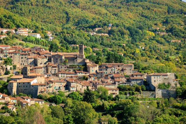 istock Santa Flora, Tuscan medieval town 2188803260