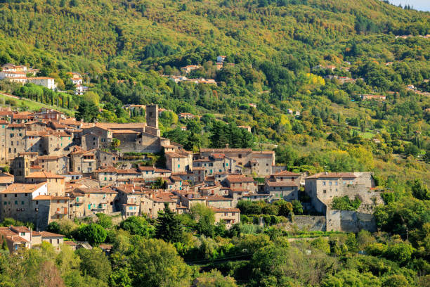 istock Santa Flora, Tuscan medieval town 2188803287