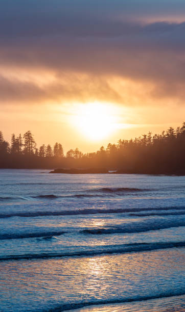 istock Sunset Over Tofino Beach with Silhouetted Trees and Calm Waves 2188806139