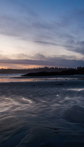 A serene sunset view over Tofino Beach, featuring vibrant colors, silhouetted trees, and gentle waves. Perfect for themes of tranquility, nature, and coastal beauty.