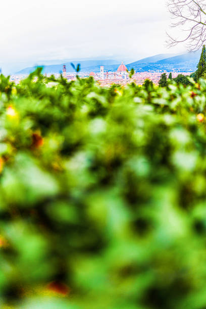 Panoramic view of Florence from a lush garden. Vertical shot
