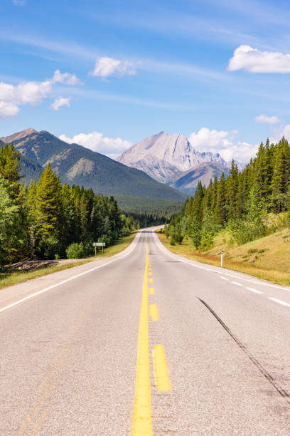 istock Scenic Alberta Highway Through Lush Forest and Majestic Mountains Under Clear Blue Sky 2188809682