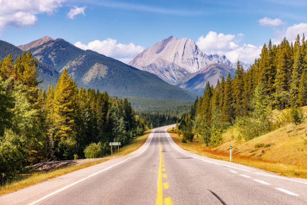 istock Scenic Road Through Stunning Mountain Landscape in Alberta, Canada with Clear Sky and Evergreen Forest 2188809691