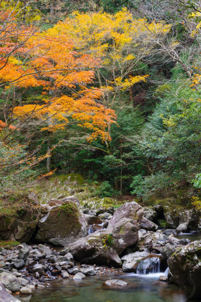 istock Autumn in Kuragari Valley (