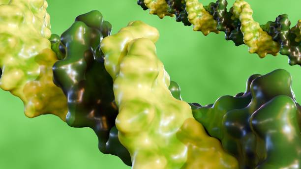 istock A 3D rendering of green deoxyribonucleic acid molecule 2188812210