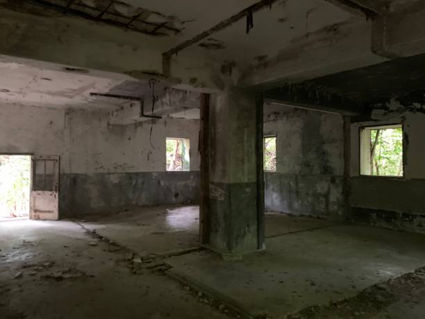 istock Japanese Air Command - Peleliu Airfield 2188817373