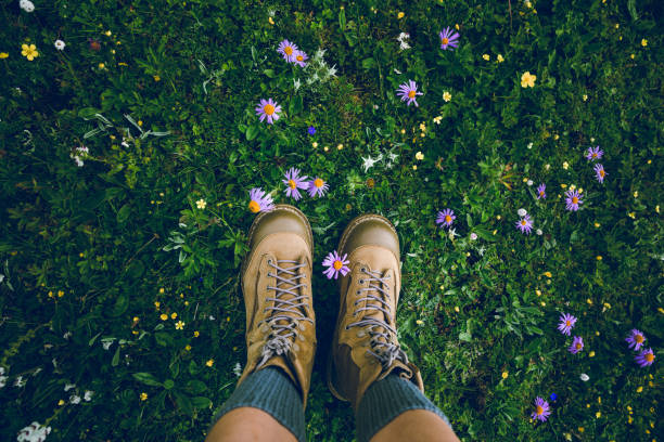 istock Hiker legs walking on beautiful flowering grassland 2188820170