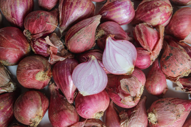 istock Unpeeled halved red shallot on white background, flat lay 2188820345