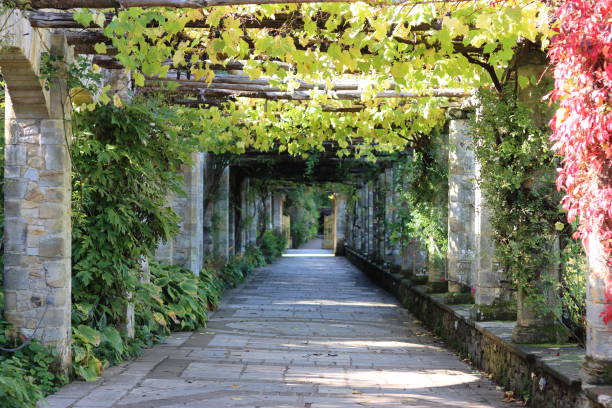 istock Long tunnel like path through a garden 2188821831