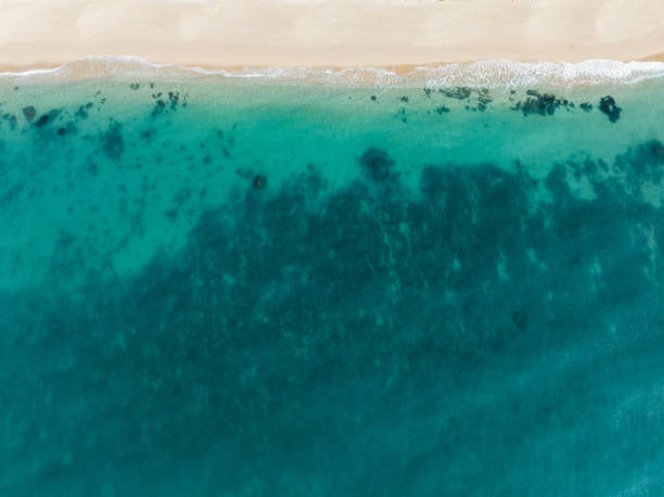 istock Aerial view of blue sea and beach 2188822017