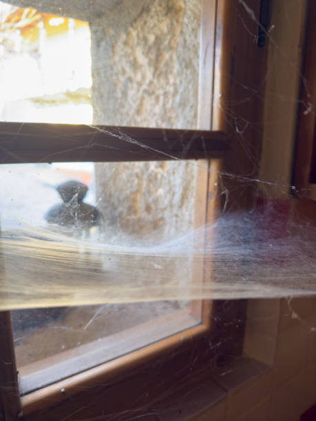 istock Cobwebs on Rustic Wooden Window with Outdoor View 2188825300