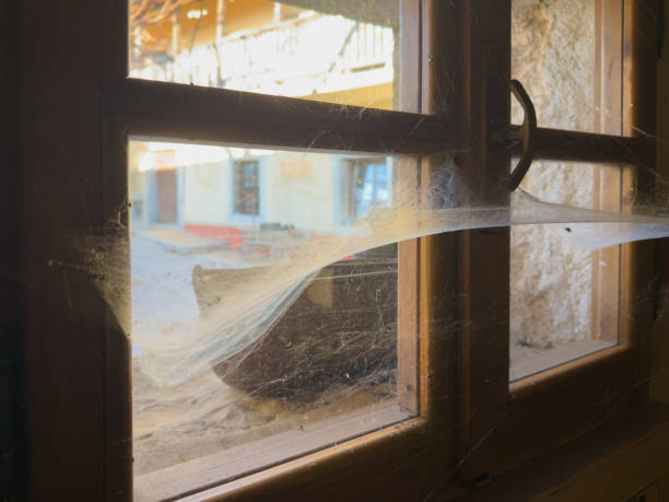 A close-up of a rustic wooden-framed window covered in cobwebs, overlooking a courtyard with vintage architectural elements. The image evokes a sense of nostalgia and abandonment, ideal for themes related to history, rural life, and timeworn charm.