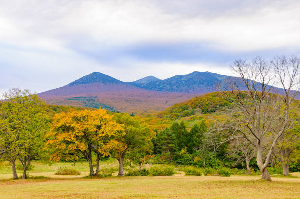 istock Autumn leaves in Hakkoda, Aomori 2188825359
