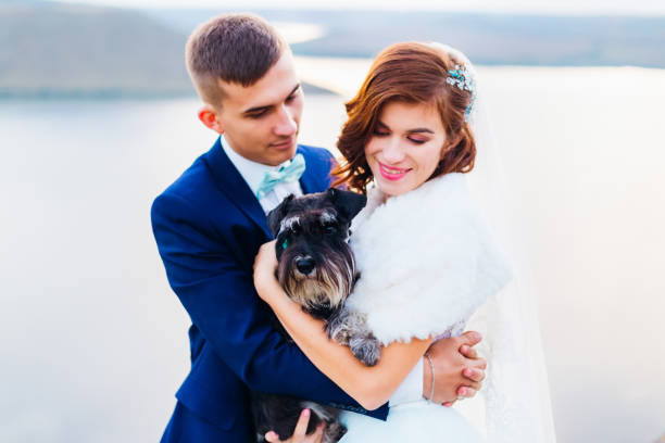 istock newlyweds keep a dog in their arms. mini schnauzer. evening 2188825480