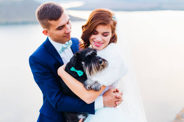 istock newlyweds keep a dog in their arms. mini schnauzer. evening 2188825491