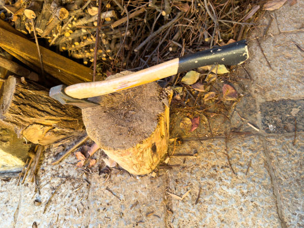 istock Overhead View of Axe in Rustic Wooden Chopping Block 2188825503
