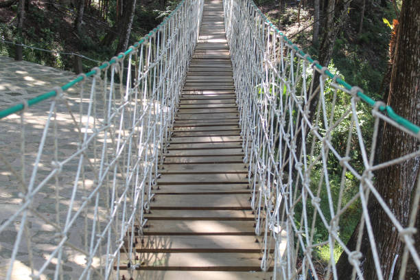 Rope bridge from tree to tree. The bridge is on ropes.