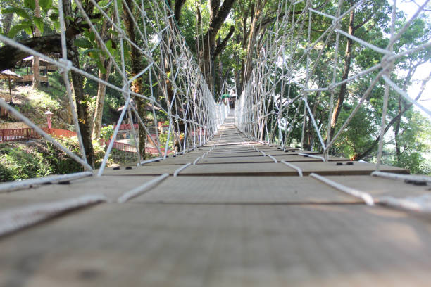 istock Rope bridge, swing bridge, or simple suspension bridge, among the trees 2188826550
