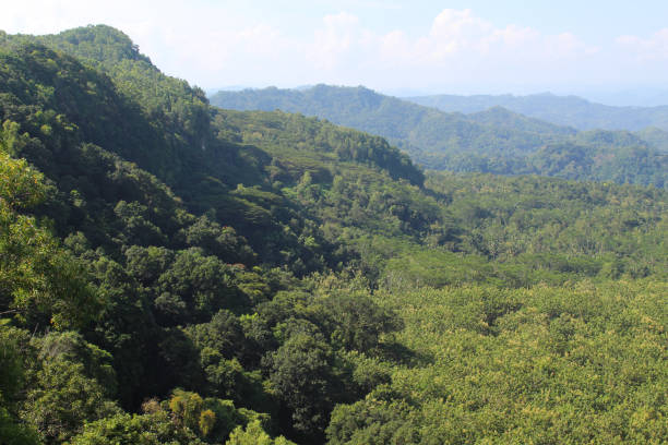 istock Green hill, with green tress. Forest at Pacitan, East Java, Indonesia 2188827209
