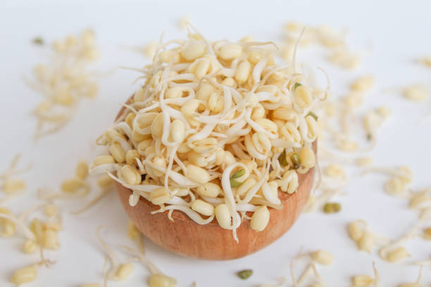 Mung bean sprouts, in wooden bowl. Isolated on white background