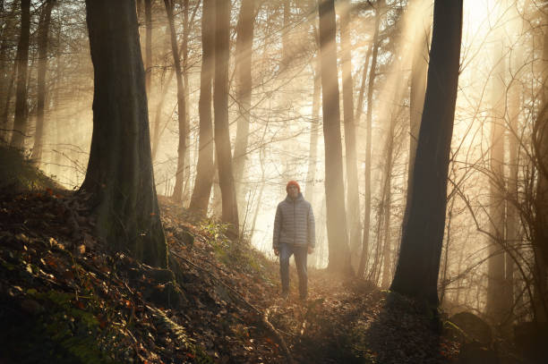 istock Walking in rays of gorgeous sunlight in a misty forest 2188831677