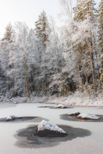 istock Winter Landscape in Repovesi National Park 2188833020