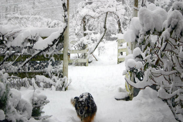 Deep snow and still snowing