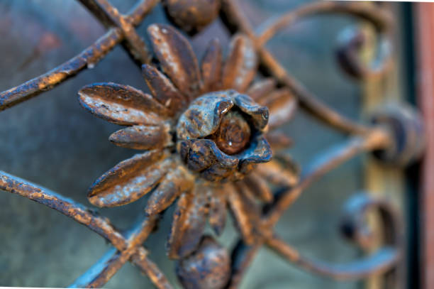 A detailed flower motif crafted from wrought iron decorates a vintage gate, reflecting soft light.