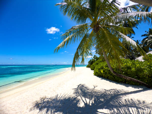 istock Beach resort in the Maldives, Asia 2188836530