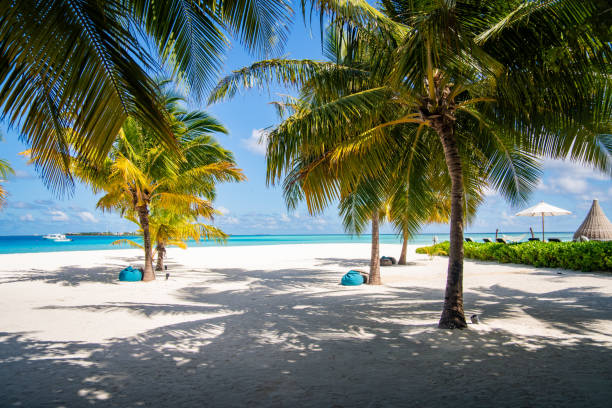 istock Beach resort in the Maldives, Asia 2188837191