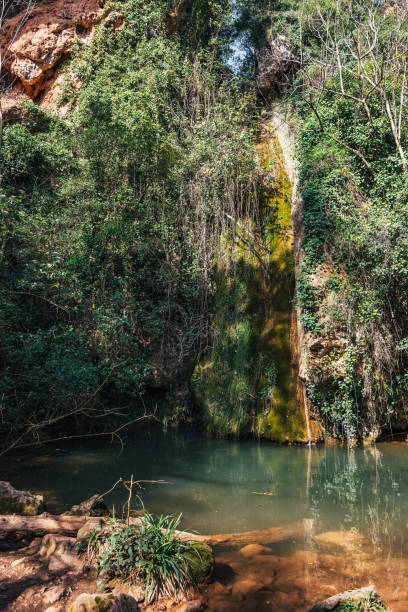 istock A lake with green water created by small waterfall in mountain slope with trees on an spring sunny day 2188837994